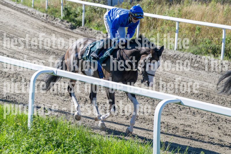 20250917-130838-DSC_2707