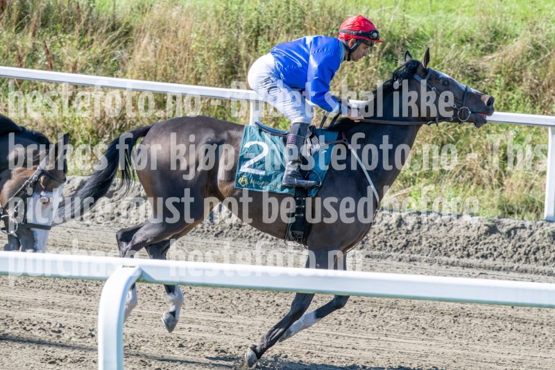 20250917-130839-DSC_2719