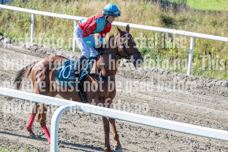 20250917-130849-DSC_2769