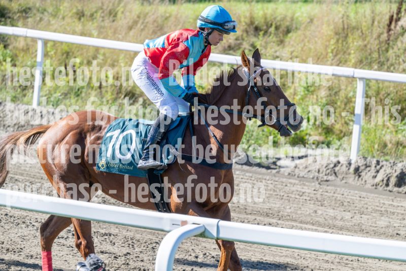 20250917-130849-DSC_2778