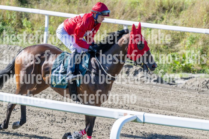 20250917-130850-DSC_2789