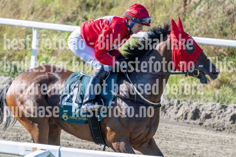 20250917-130850-DSC_2793