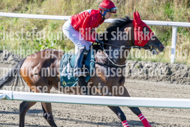 20250917-130850-DSC_2795