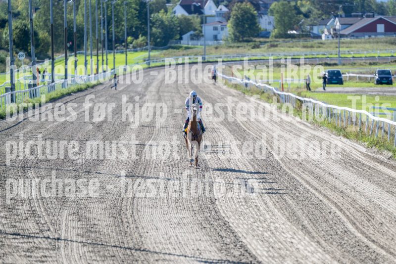 20250917-130948-DSC_2826