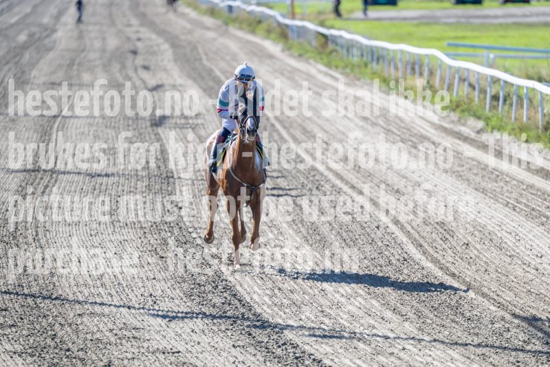 20250917-130951-DSC_2855