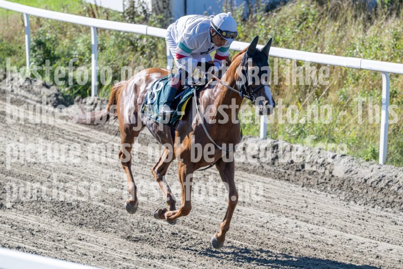 20250917-130954-DSC_2869