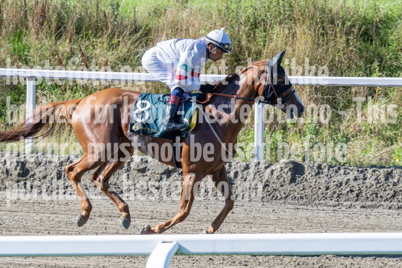 20250917-130955-DSC_2884