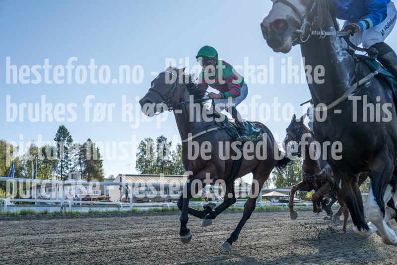 20250917-131904-DSC_6655