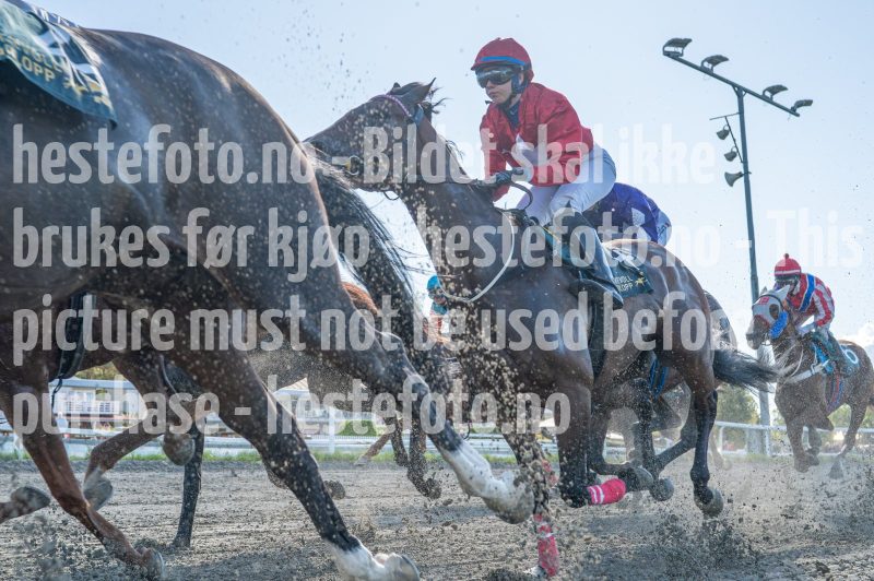 20250917-131905-DSC_6658