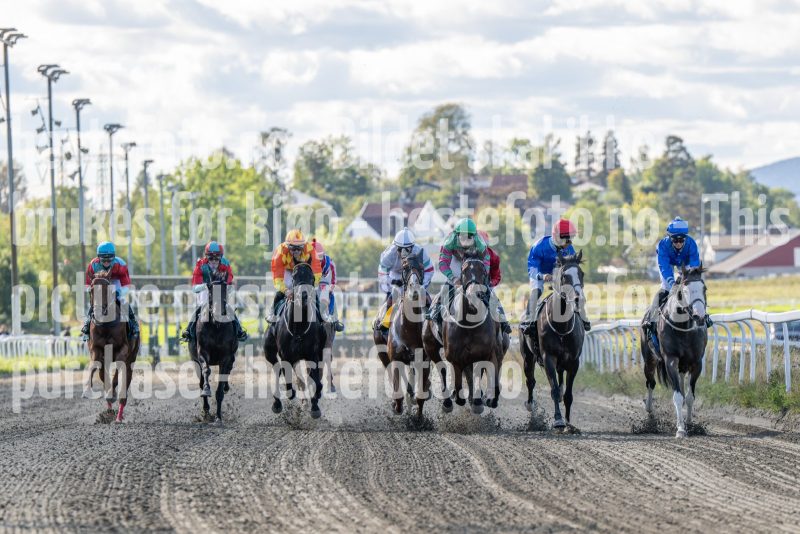 20250917-131938-DSC_2949