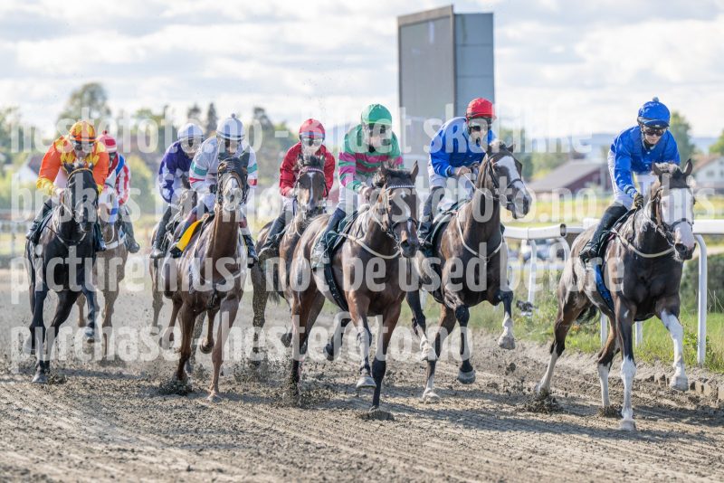 20250917-131940-DSC_2988