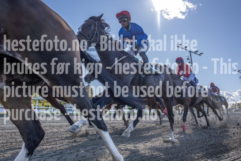 20250917-131950-DSC4282