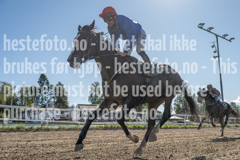 20250917-132035-DSC_6735