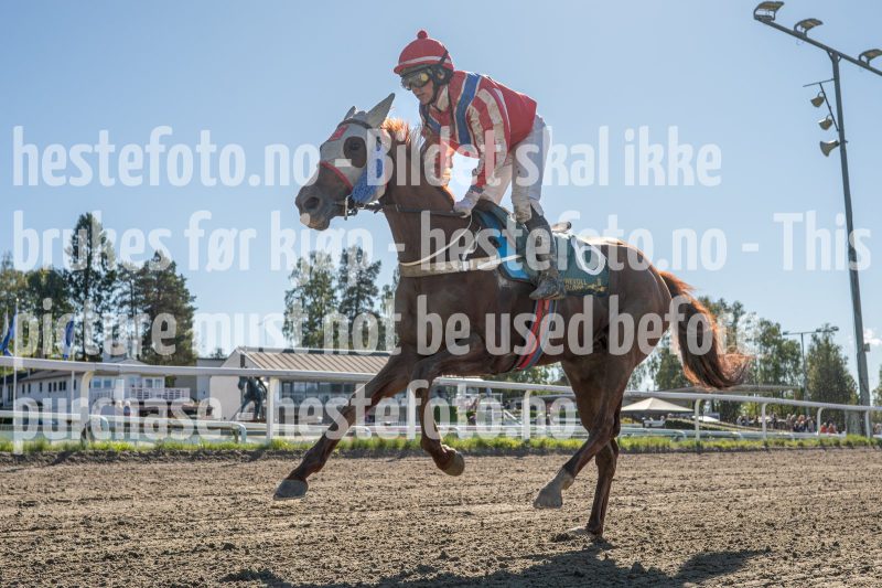 20250917-132039-DSC_6771