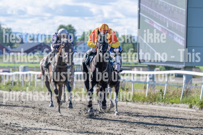 20250917-132104-DSC_3101