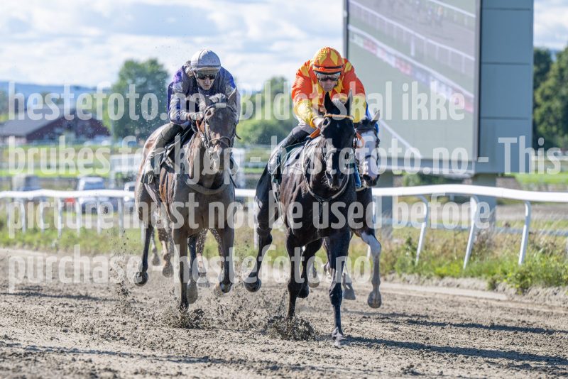 20250917-132105-DSC_3107