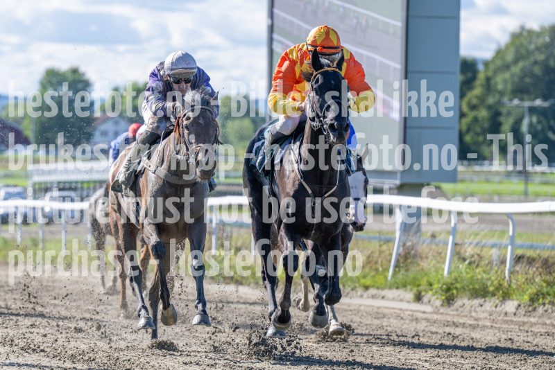 20250917-132105-DSC_3111