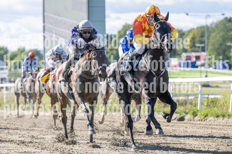 20250917-132105-DSC_3122