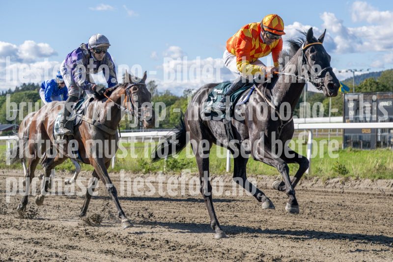 20250917-132106-DSC_3142