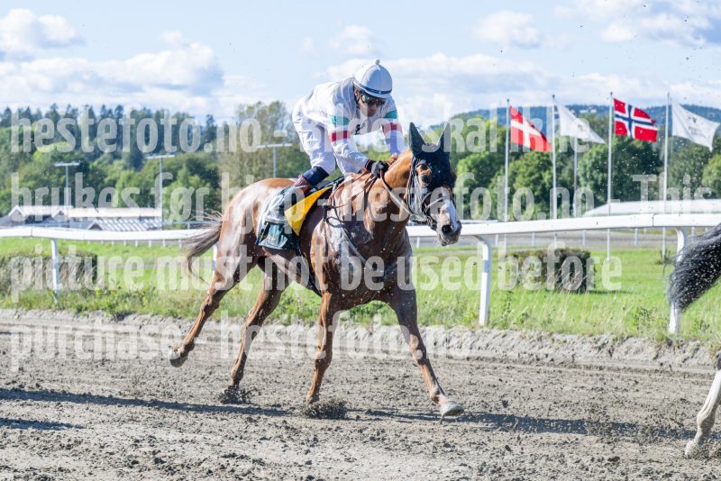 20250917-132107-DSC_3154