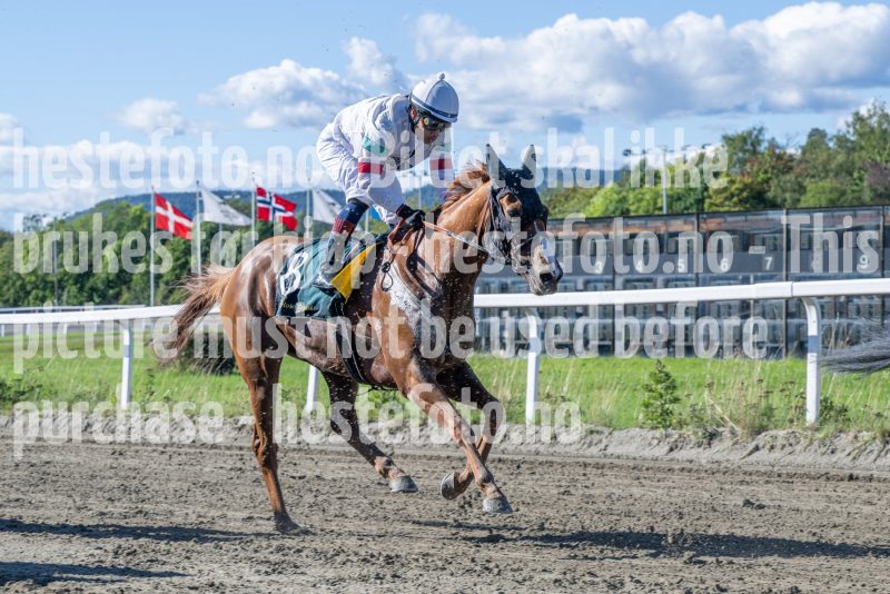 20250917-132107-DSC_3160