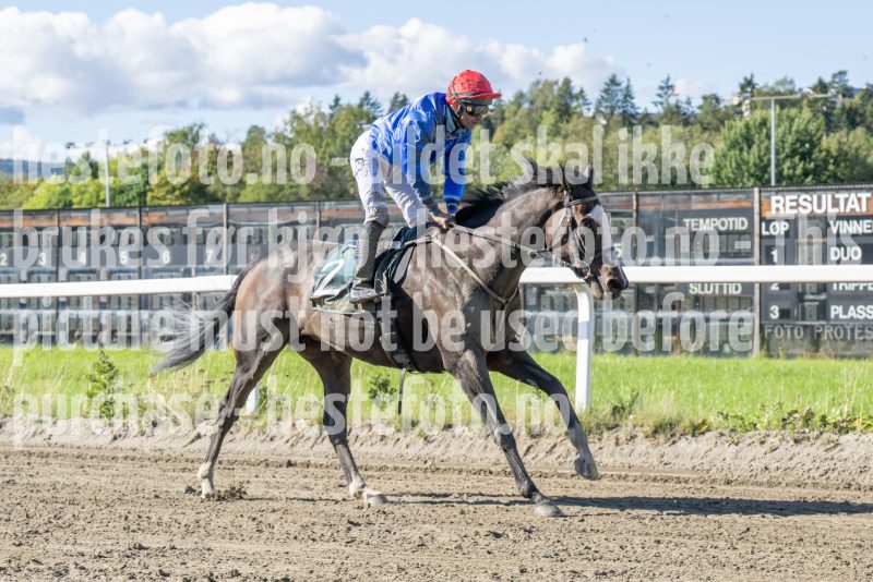 20250917-132109-DSC_3182