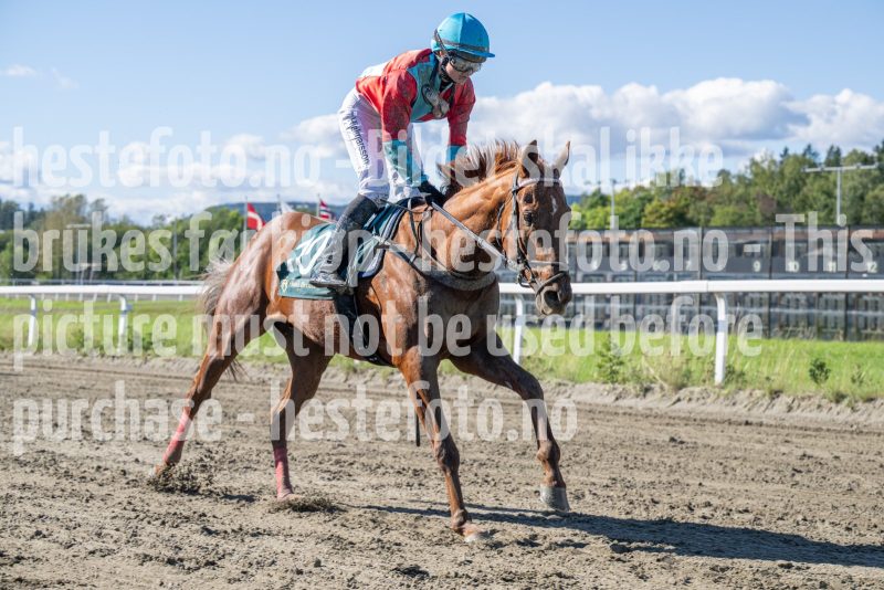 20250917-132111-DSC_3209