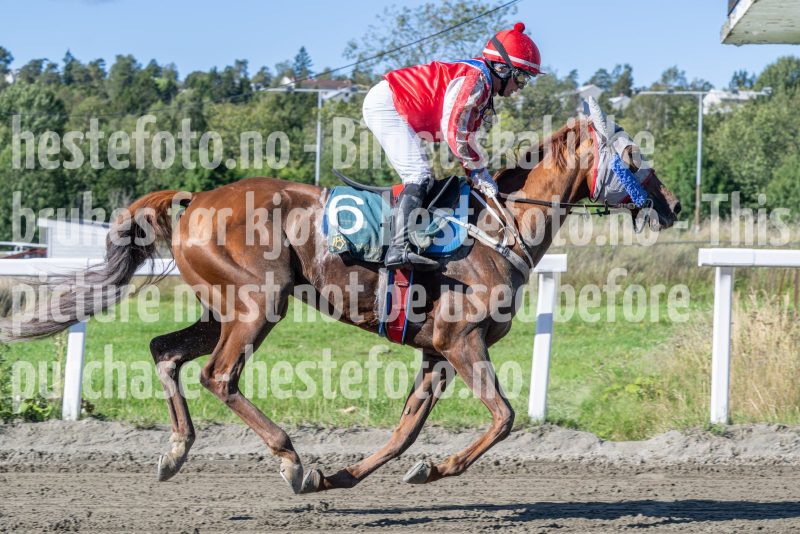 20250917-132114-DSC_3238