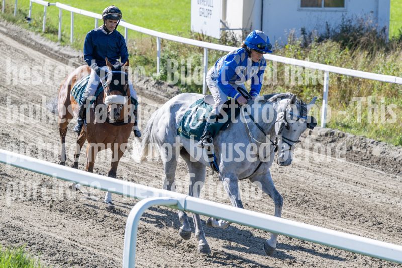 20250917-133616-DSC_3483