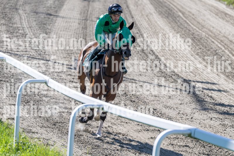 20250917-133706-DSC_3522