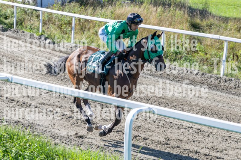 20250917-133707-DSC_3542