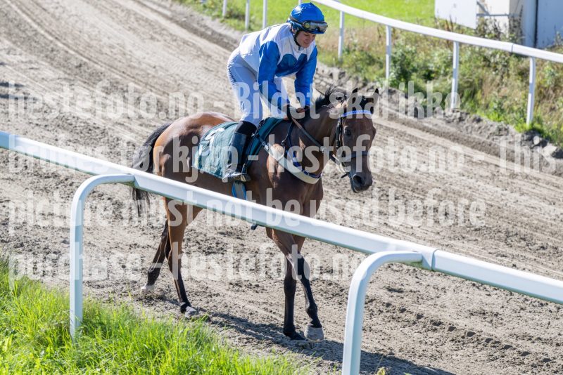 20250917-133807-DSC_3649