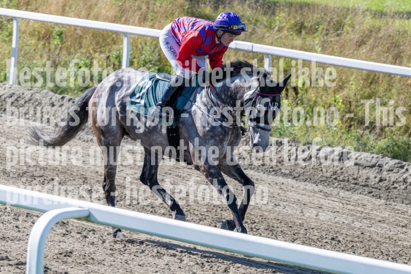 20250917-133811-DSC_3686