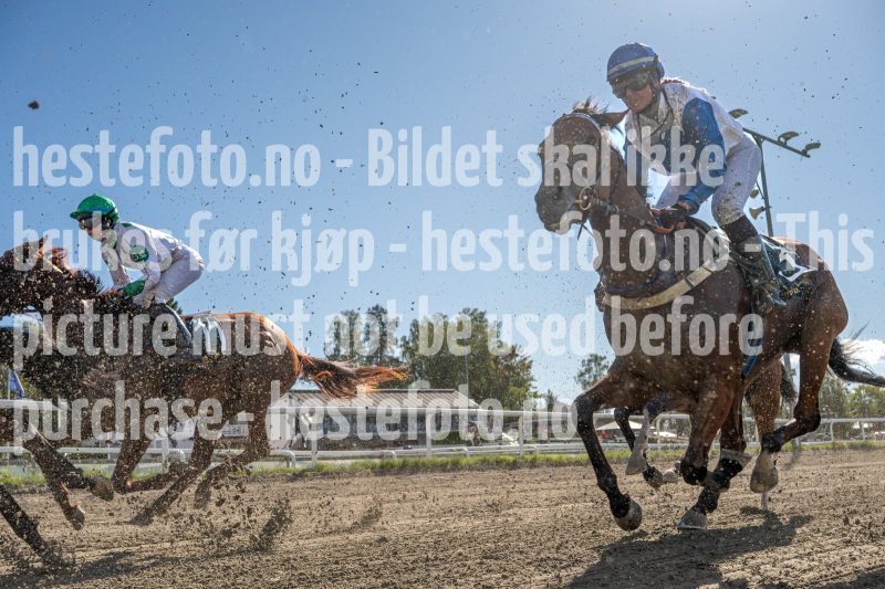 20250917-134651-DSC_6792