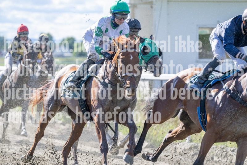 20250917-134728-DSC_3940