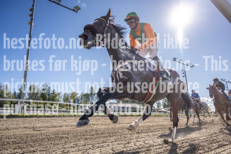 20250917-134736-DSC4339