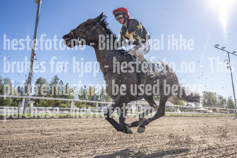 20250917-134738-DSC4355