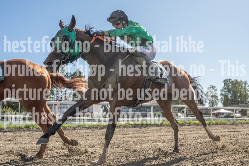 20250917-134821-DSC_6839