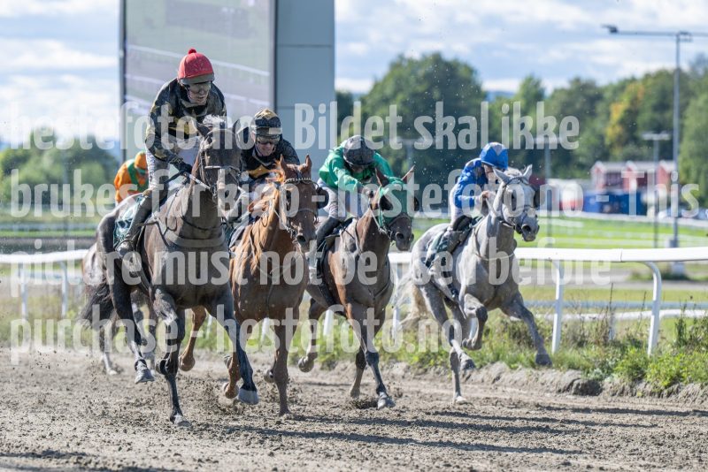 20250917-134853-DSC_4024