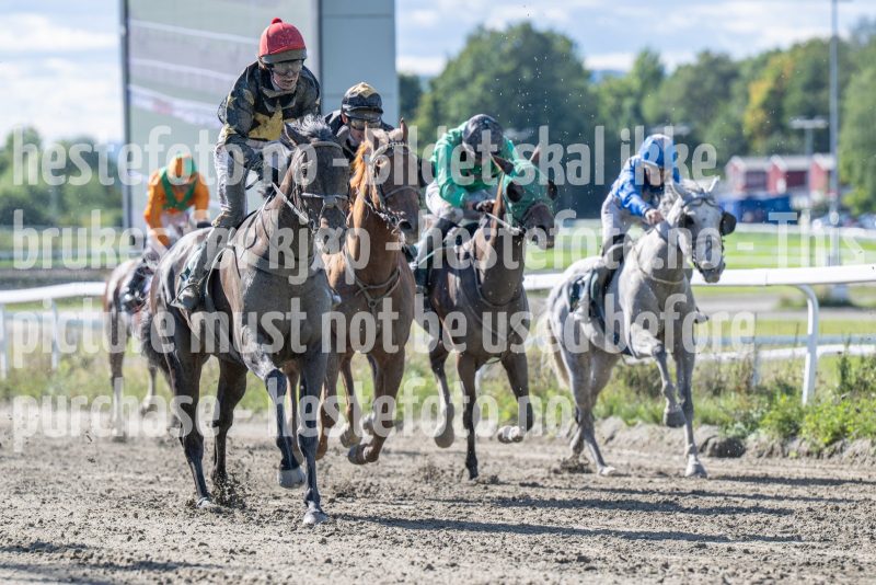 20250917-134853-DSC_4026