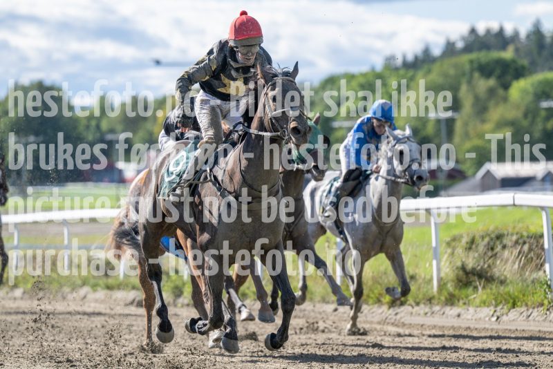 20250917-134854-DSC_4040