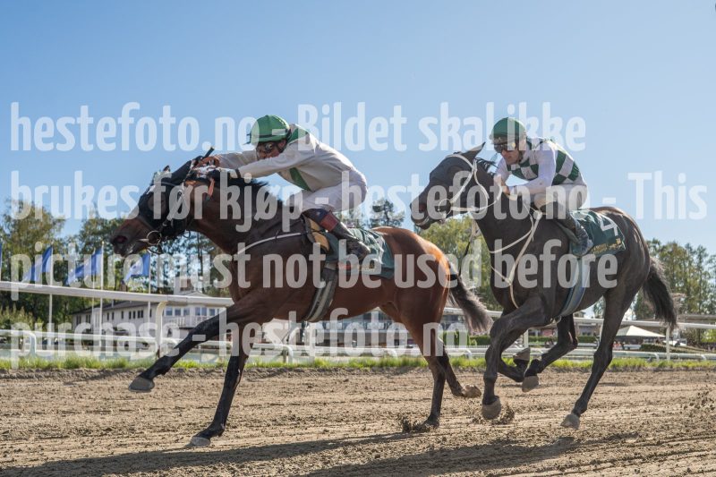 20250917-140811-DSC_6921