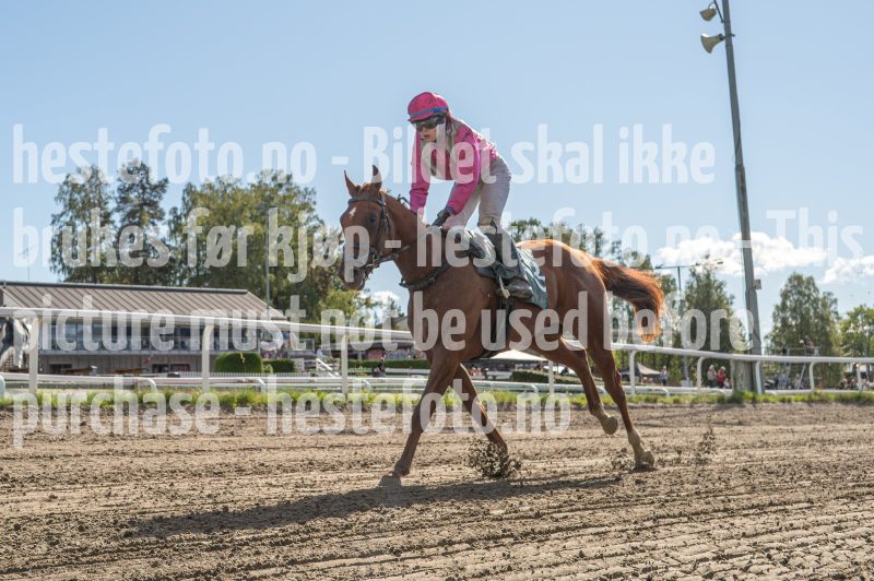 20250917-140813-DSC_6942