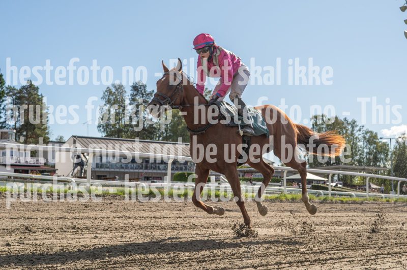 20250917-140813-DSC_6943