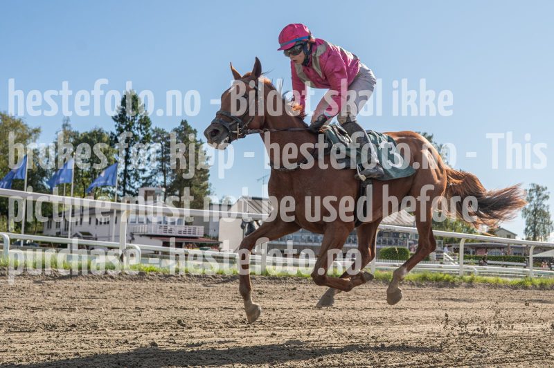 20250917-140813-DSC_6944