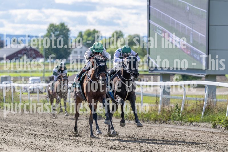 20250917-140843-DSC_4341