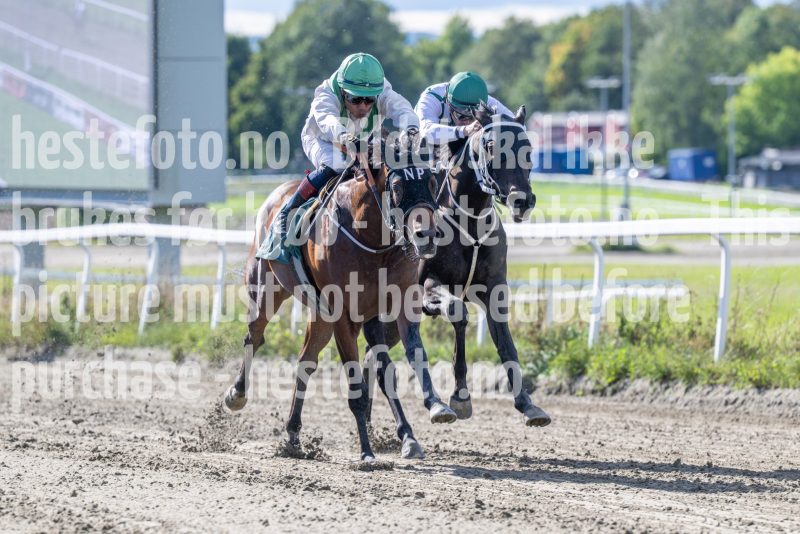 20250917-140844-DSC_4359