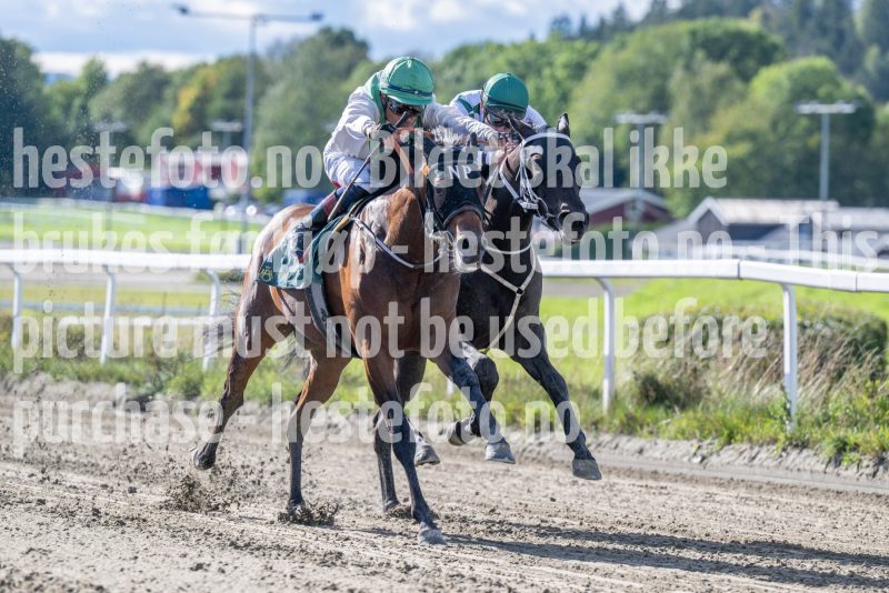 20250917-140844-DSC_4367