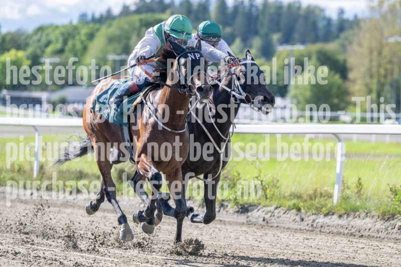 20250917-140844-DSC_4372