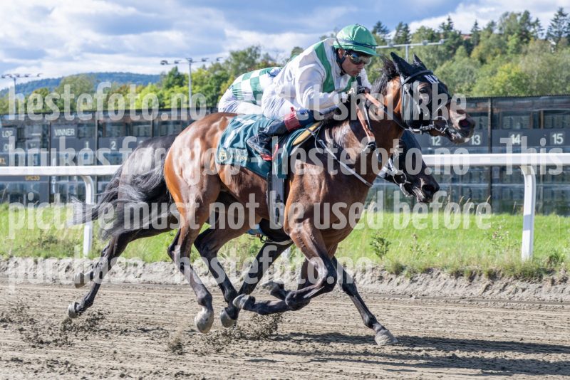 20250917-140845-DSC_4388